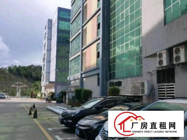  大型园区，村委厂房，二楼1100平，有办公室装修