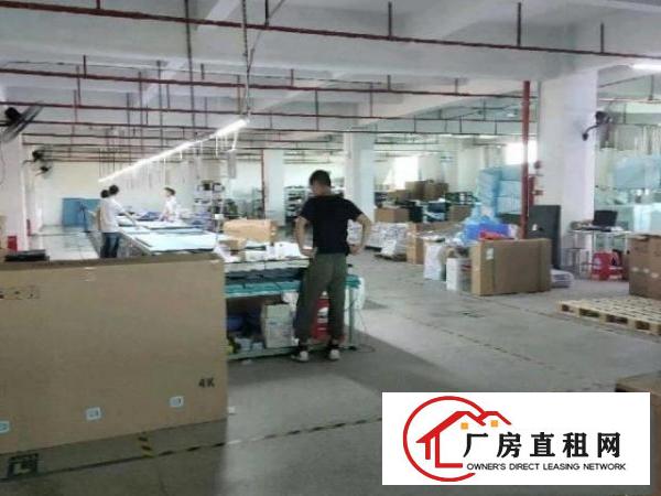  大型园区，村委厂房，二楼1100平，有办公室装修