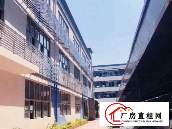  真实:樟阁1楼厂房330平租28一平