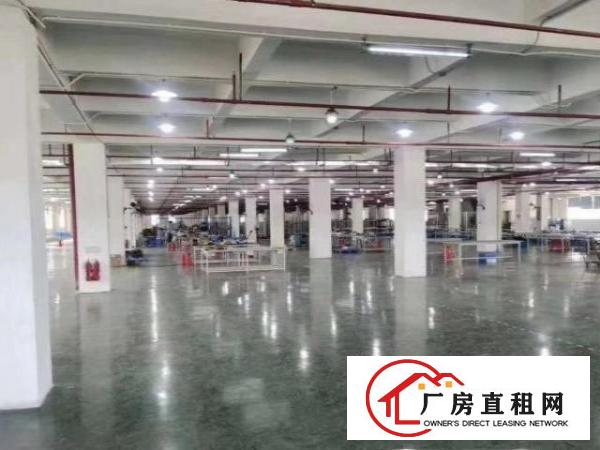  观澜独门独院新出来空地大大小可分