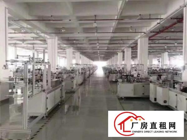  观澜独门独院新出来空地大大小可分
