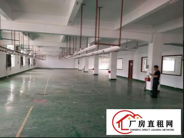  深圳市红本厂房、带消防喷淋、可分租