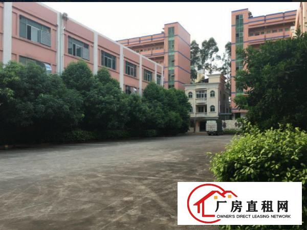  深圳市红本厂房、带消防喷淋、可分租