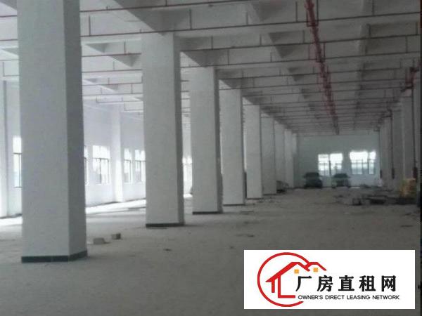  深圳市红本厂房、带消防喷淋、可分租