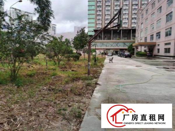 龙华观澜6000平方厂房精装修，大小面积可分房适合仓库