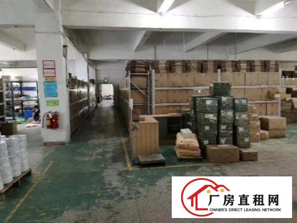  真实：新田观平路1-3楼独院厂房4500平方