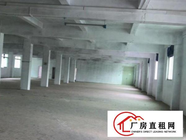  真实信息:观澜六区2/3楼厂房1150平租19