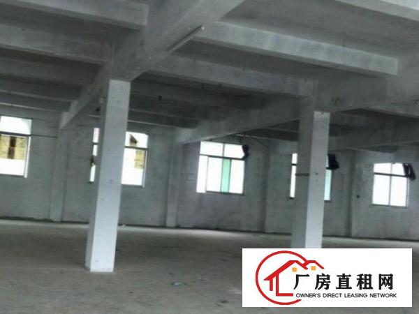  真实信息:观澜六区2/3楼厂房1150平租19