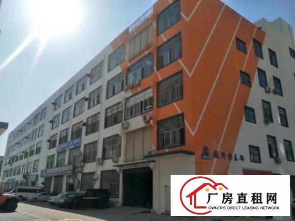  环观南路全新大型创业园新装厂房招租十多元一平行业不限