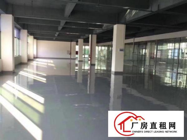  环观南路全新大型创业园新装厂房招租十多元一平行业不限