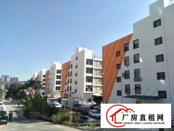  环观南路全新大型创业园新装厂房招租十多元一平行业不限