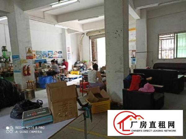 观澜新田路口原业主一楼约200平厂房出租