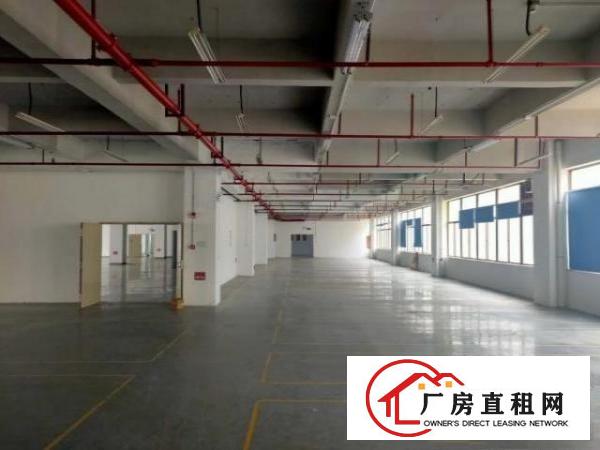 观澜工业区新出单层面积2000平方，大小200平方起分！