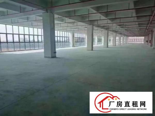  观澜工业区新出单层面积2000平方，大小200平方起分！