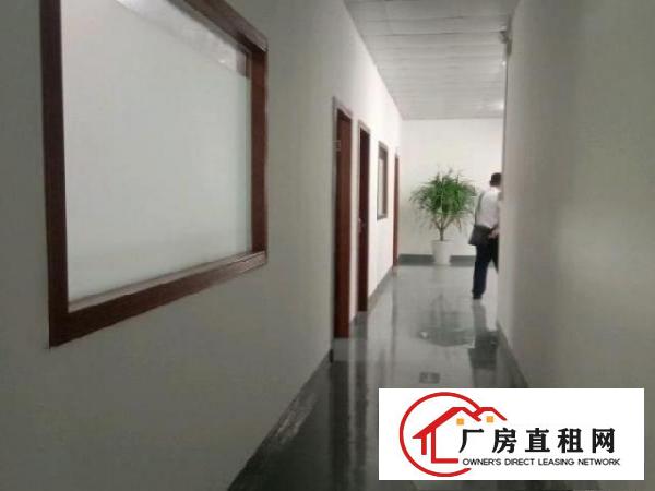  （出租）观澜樟坑径楼上500平方，带装修办公室厂房出租