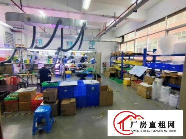  （出租）观澜樟坑径楼上500平方，带装修办公室厂房出租