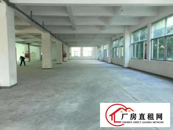  龙华区观湖街道观城社区金雄达科技园厂房出租