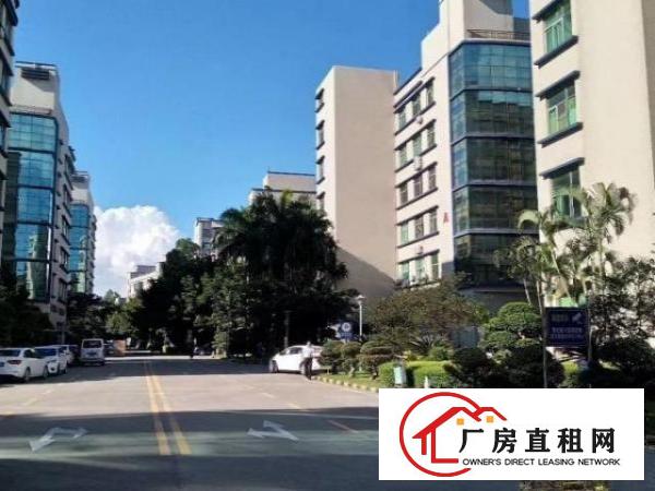  观澜高新科技园区楼上精装修700平