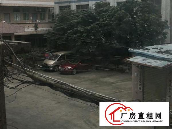  自用一楼高层标准厂房低价转租