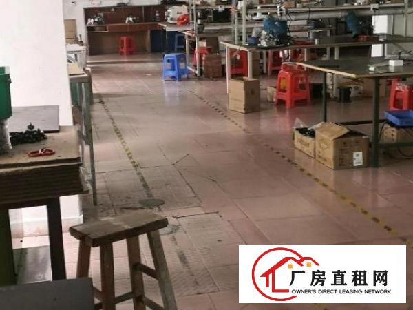  自用一楼高层标准厂房低价转租