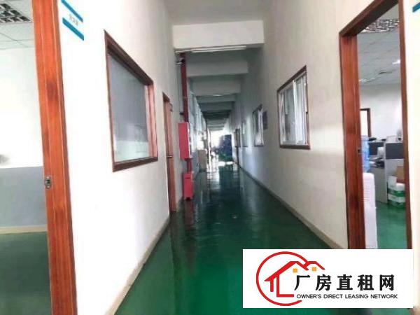  梅观高速附近1楼厂房1150平出租
