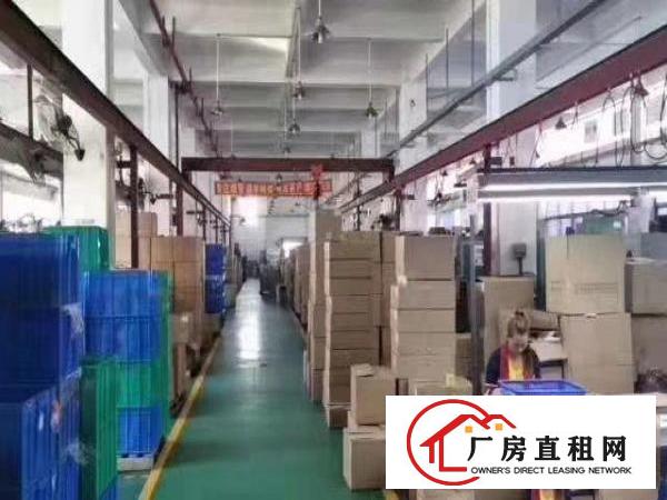  梅观高速附近1楼厂房1150平出租