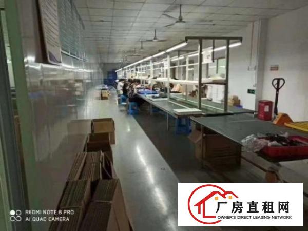  豪华装修水电齐全拎包即生产