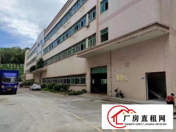  新出来独门独院空地大