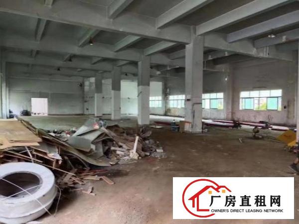  新出来独门独院空地大