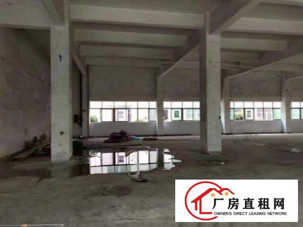  新出来独门独院空地大