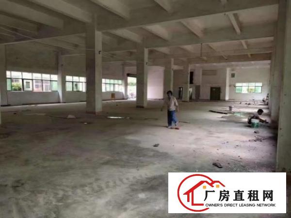  新出来独门独院空地大