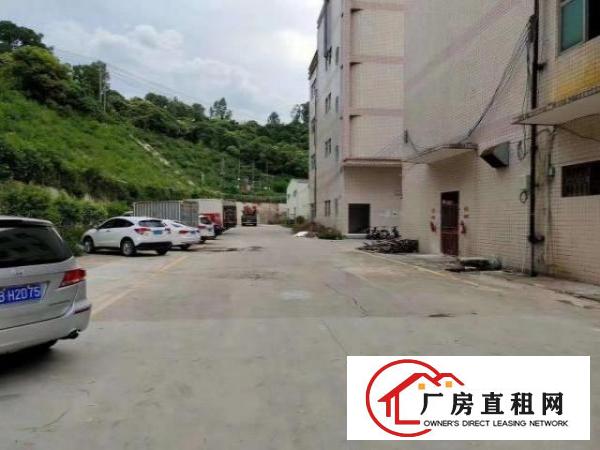  新出来独门独院空地大