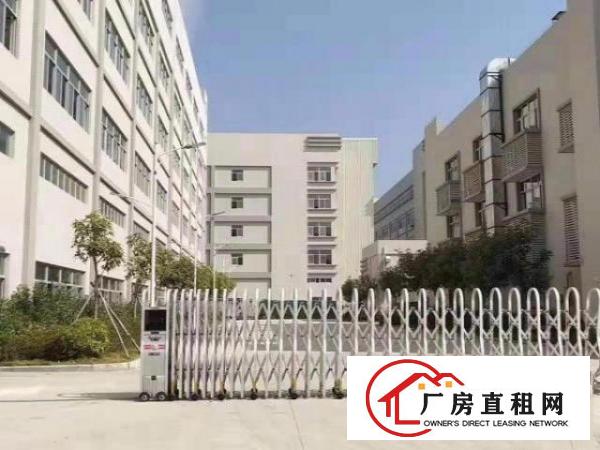  龙华新区独门独院厂房配套成熟交通方便实用率高价格实惠