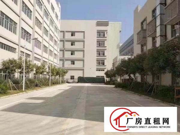  龙华新区独门独院厂房配套成熟交通方便实用率高价格实惠