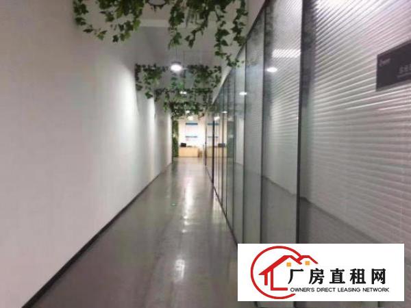  龙华新区独门独院厂房配套成熟交通方便实用率高价格实惠