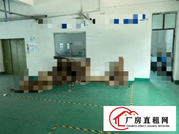  观澜润塘工业区厂房出租