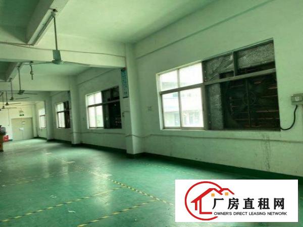  观澜润塘工业区厂房出租
