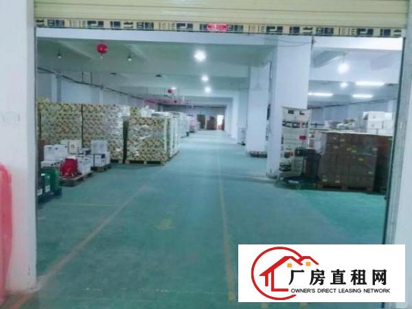  观平路5楼1800平方出租