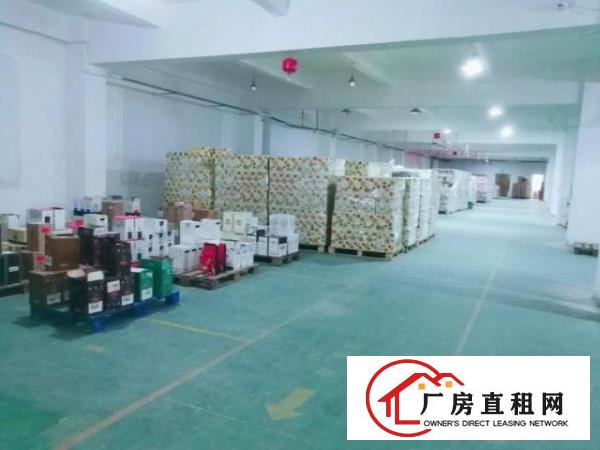  观平路5楼1800平方出租