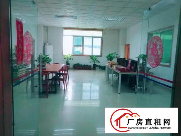  观平路5楼1800平方出租