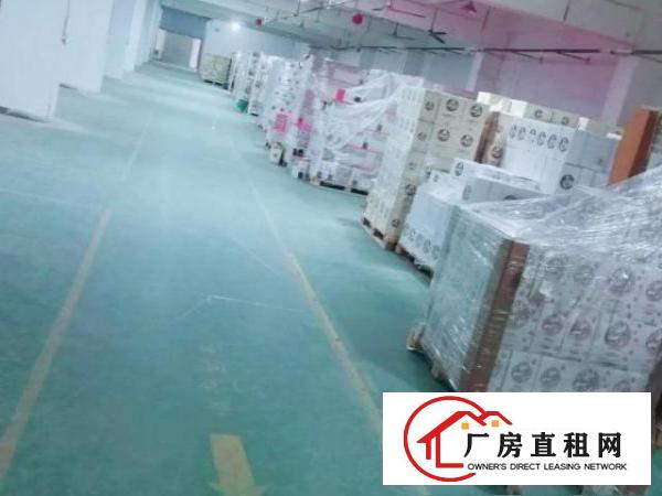  观平路5楼1800平方出租