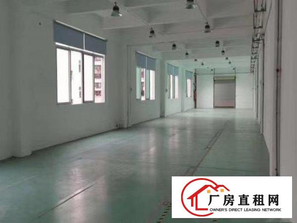 环观中路3楼800平方