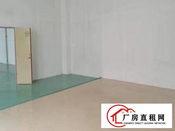  环观中路3楼800平方