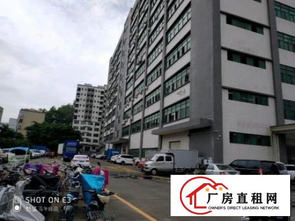  观澜厂房，院大，停车方便，空地大
