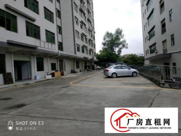  观澜厂房，院大，停车方便，空地大