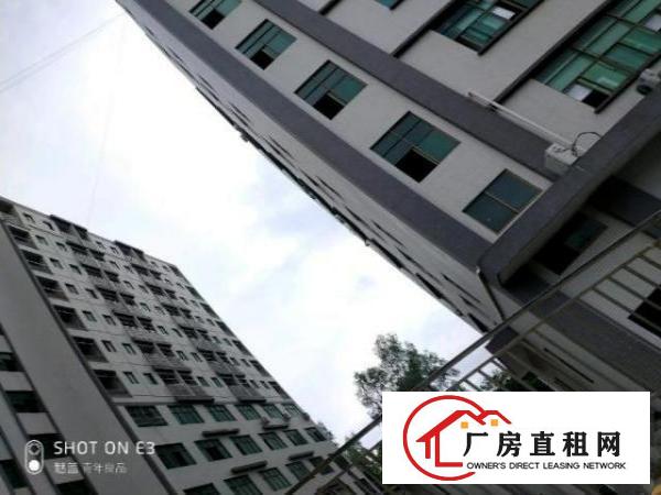  观澜厂房，院大，停车方便，空地大