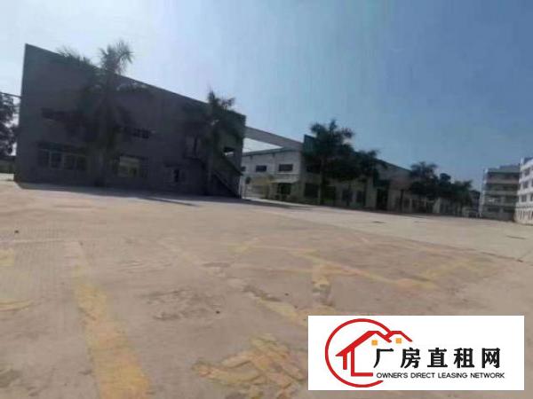  观澜红本一手房东独门独院厂房出租