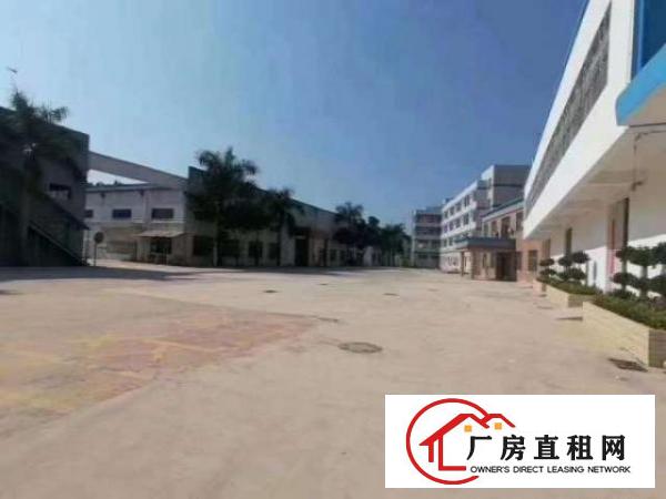  观澜红本一手房东独门独院厂房出租