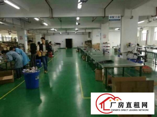  观澜福民带豪华装修三楼1100平方厂房出租