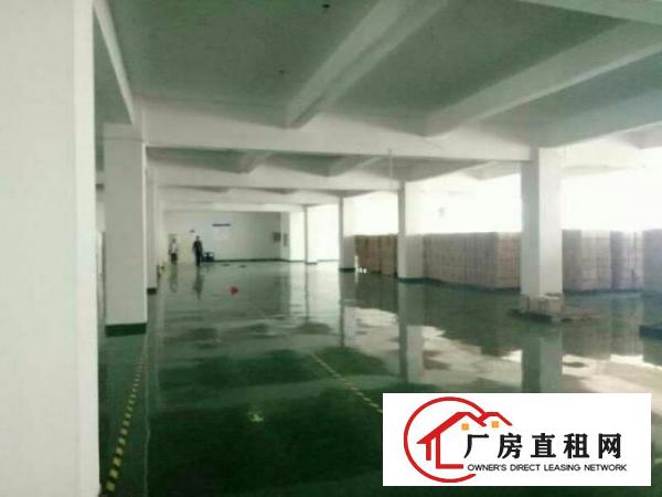  观澜福民带豪华装修三楼1100平方厂房出租